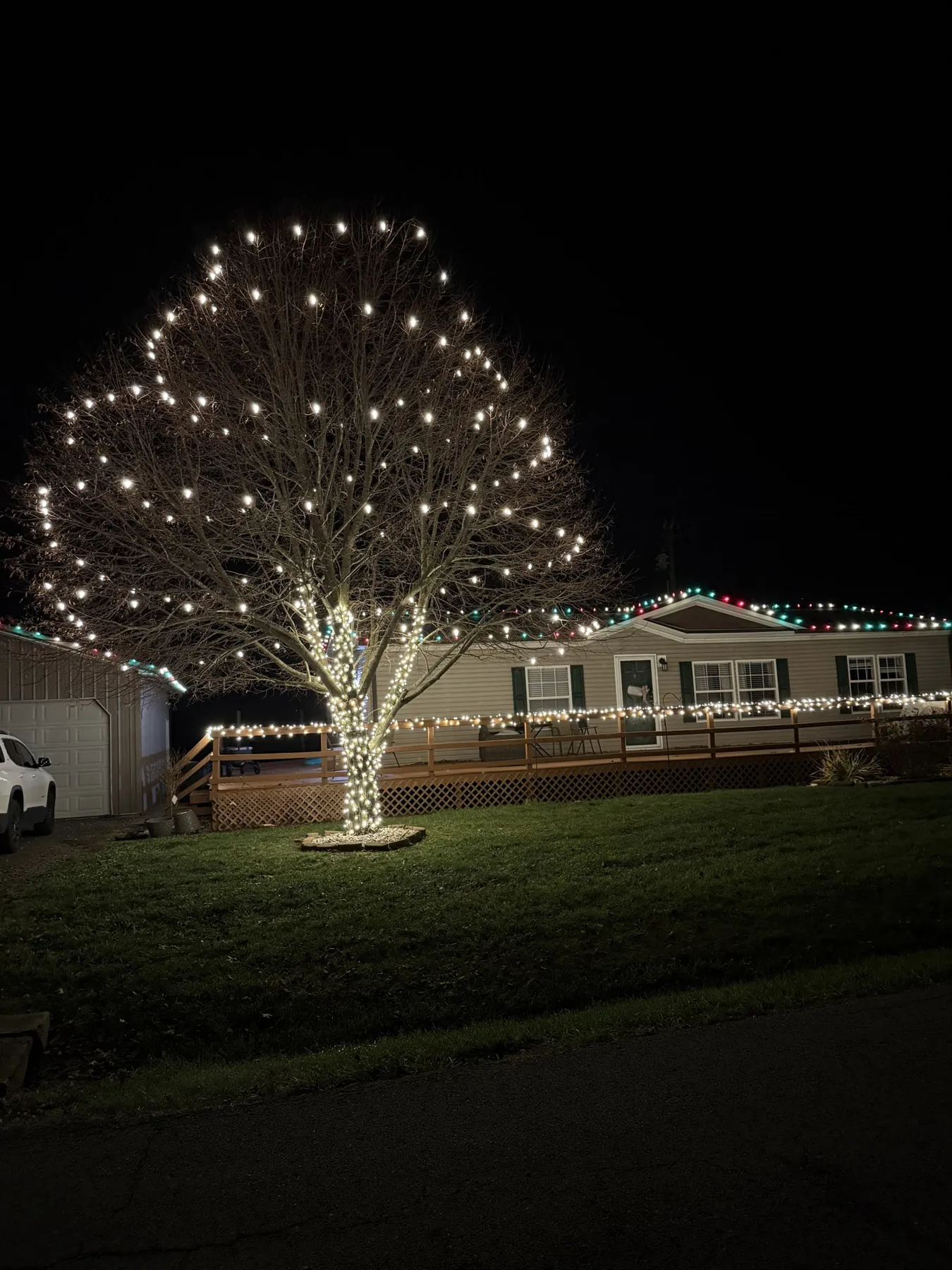 Tree wrapped in warm white lights by Prestige, November 2025
